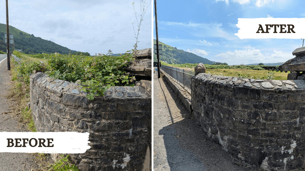 Weeding Before and after picture from a garden tidy project in Machynlleth
