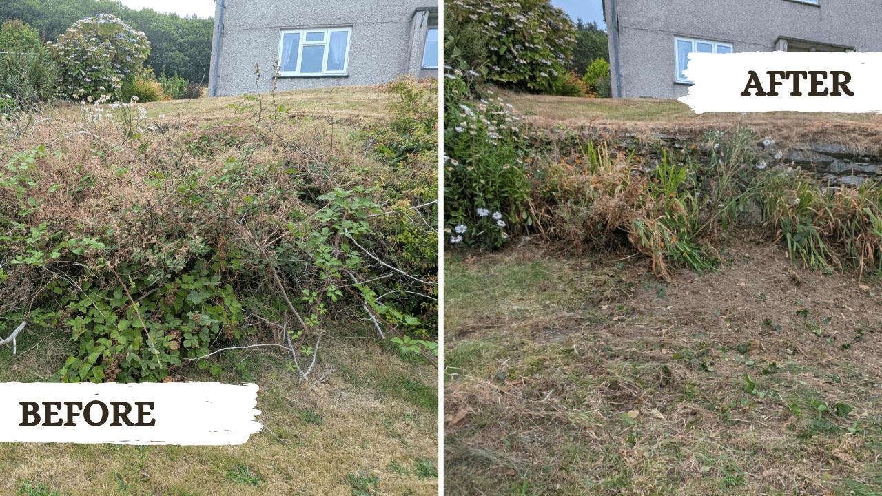 Weeding Before and after picture from a garden tidy project in Machynlleth