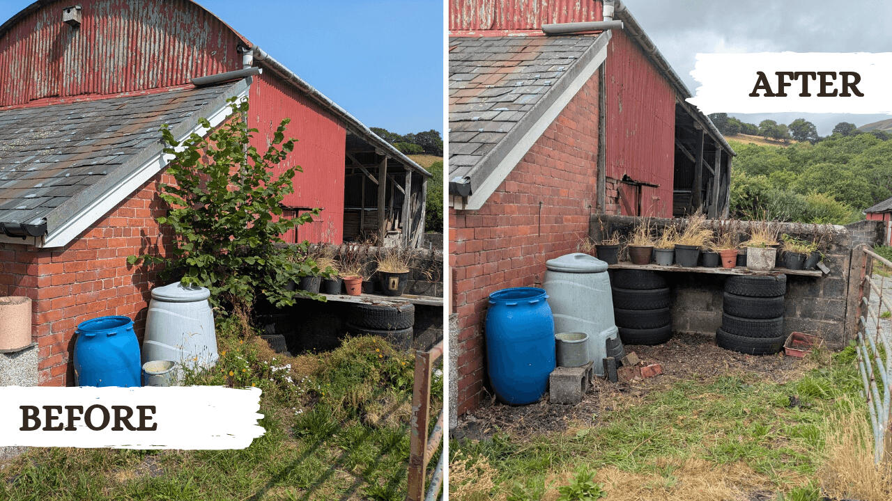 Weeding Before and after picture from a garden tidy project in Machynlleth